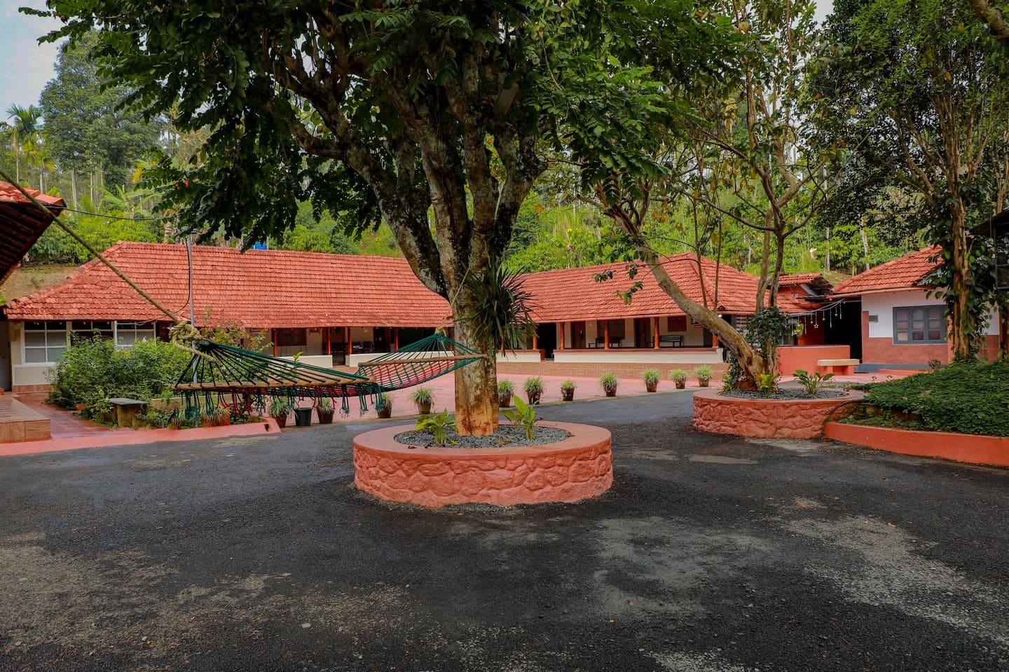 Immersive Wayanad Experiences