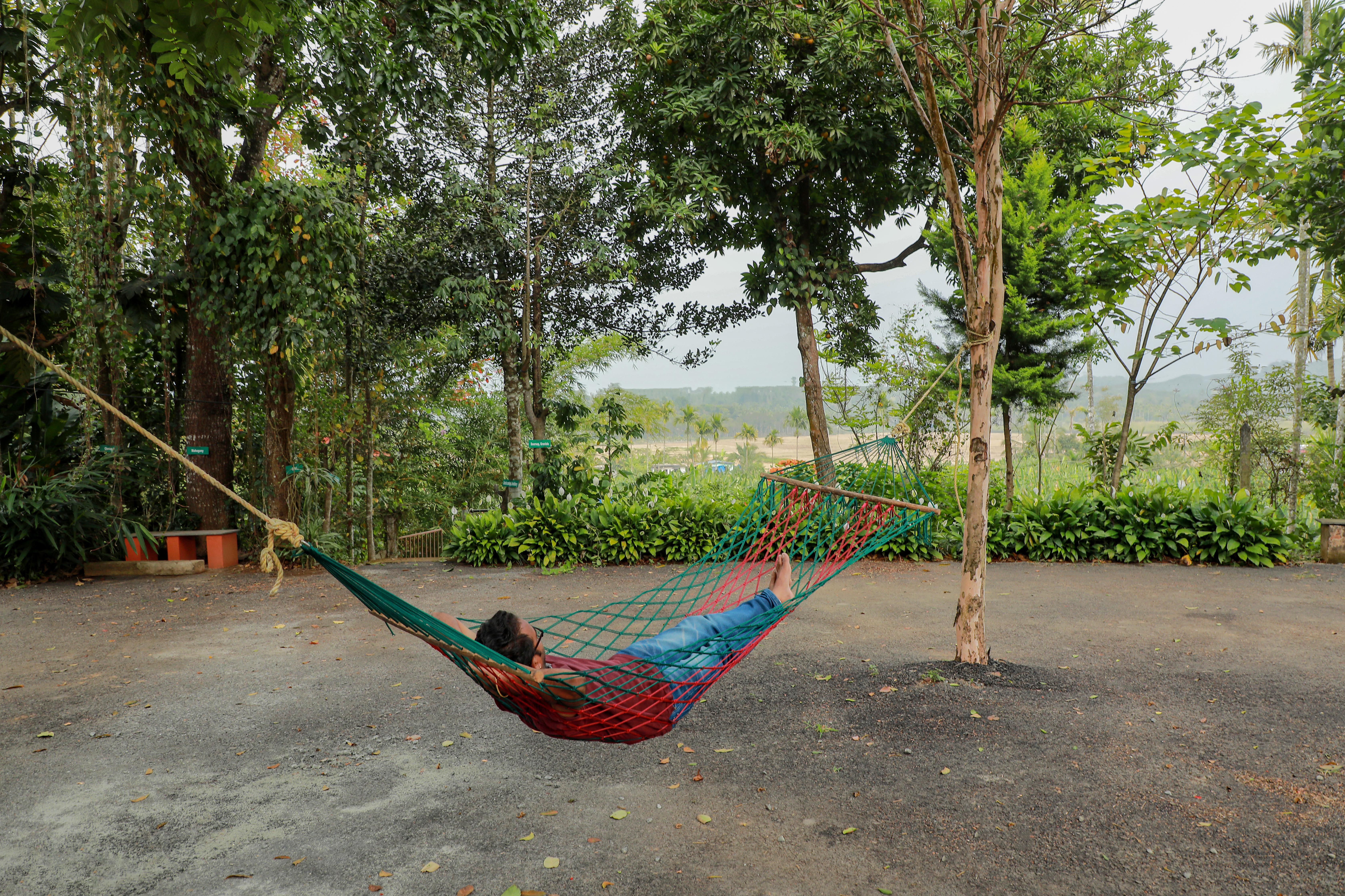 Wayanad homestay gallery image 8