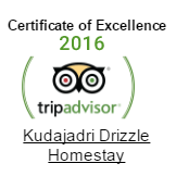 TripAdvisor