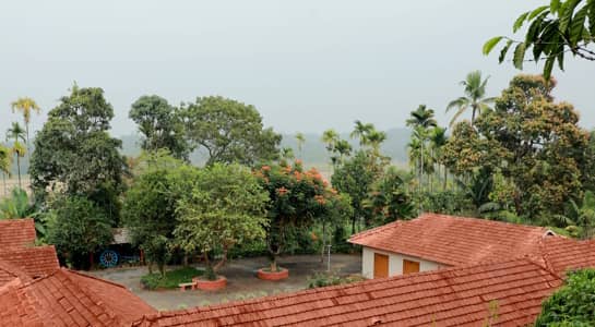 Kudajadri Homestays in Wayanad Video Tour