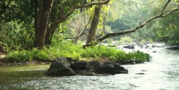 Kuruva Island Wayanad