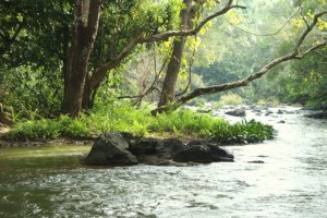 Wayanad Kuruva Island