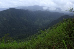 Wayanad Neelimala View Point