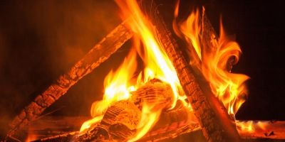 Wayanad Homestay Activities